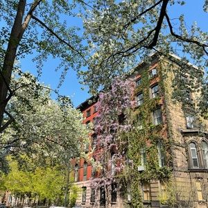 Meet your Posher, Heejae